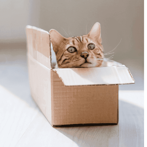 Sustainable packaging Sustainable packaging